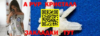 прущие грибы Дубна
