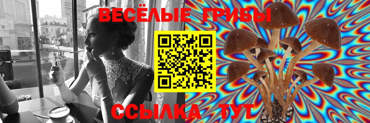 Волоколамск  Псилоцибиновые грибы Psilocybe  Псилоцибиновые грибы MAGIC MUSHROOMS  Вход с VPN 